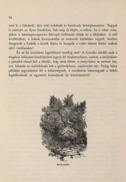 Bild der Seite - 72 - in Az Osztrák-Magyar Monarchia írásban és képben - Magyarország II (1), Band 9/1