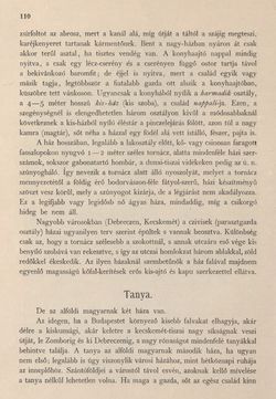 Bild der Seite - 110 - in Az Osztrák-Magyar Monarchia írásban és képben - Magyarország II (1), Band 9/1