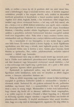 Bild der Seite - 111 - in Az Osztrák-Magyar Monarchia írásban és képben - Magyarország II (1), Band 9/1
