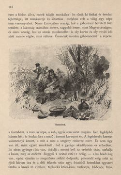 Bild der Seite - 116 - in Az Osztrák-Magyar Monarchia írásban és képben - Magyarország II (1), Band 9/1