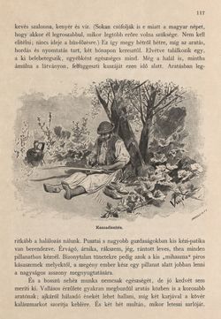 Bild der Seite - 117 - in Az Osztrák-Magyar Monarchia írásban és képben - Magyarország II (1), Band 9/1