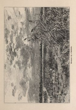 Image of the Page - 181 - in Az Osztrák-Magyar Monarchia írásban és képben - Magyarország II (1), Volume 9/1