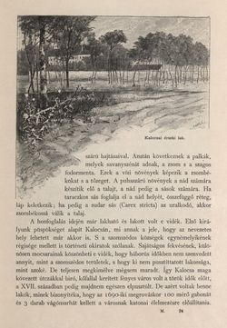 Bild der Seite - 185 - in Az Osztrák-Magyar Monarchia írásban és képben - Magyarország II (1), Band 9/1