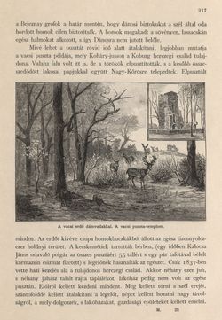 Image of the Page - 217 - in Az Osztrák-Magyar Monarchia írásban és képben - Magyarország II (1), Volume 9/1