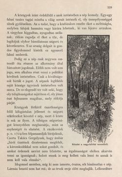 Image of the Page - 229 - in Az Osztrák-Magyar Monarchia írásban és képben - Magyarország II (1), Volume 9/1