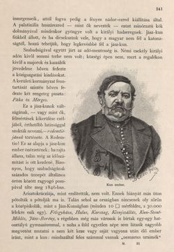 Image of the Page - 241 - in Az Osztrák-Magyar Monarchia írásban és képben - Magyarország II (1), Volume 9/1