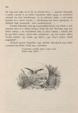Image of the Page - 256 - in Az Osztrák-Magyar Monarchia írásban és képben - Magyarország II (1), Volume 9/1