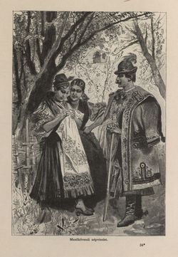 Image of the Page - 267 - in Az Osztrák-Magyar Monarchia írásban és képben - Magyarország II (1), Volume 9/1