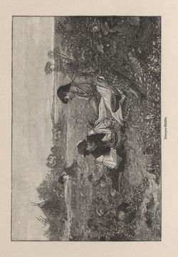 Image of the Page - 269 - in Az Osztrák-Magyar Monarchia írásban és képben - Magyarország II (1), Volume 9/1