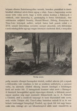 Bild der Seite - 271 - in Az Osztrák-Magyar Monarchia írásban és képben - Magyarország II (1), Band 9/1