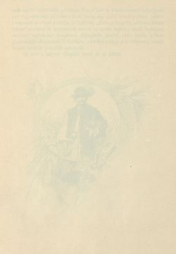 Image of the Page - (00000298) - in Az Osztrák-Magyar Monarchia írásban és képben - Magyarország II (1), Volume 9/1