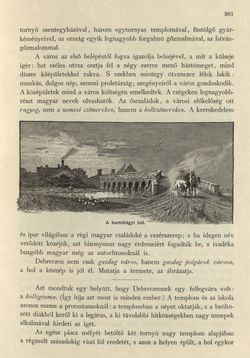 Bild der Seite - 301 - in Az Osztrák-Magyar Monarchia írásban és képben - Magyarország II (2), Band 9/2