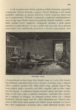 Bild der Seite - 303 - in Az Osztrák-Magyar Monarchia írásban és képben - Magyarország II (2), Band 9/2
