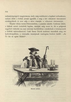 Image of the Page - 314 - in Az Osztrák-Magyar Monarchia írásban és képben - Magyarország II (2), Volume 9/2