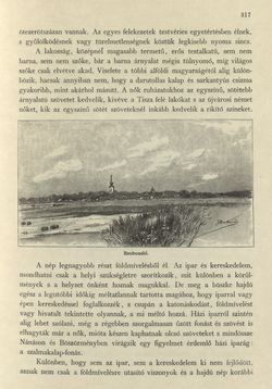 Bild der Seite - 317 - in Az Osztrák-Magyar Monarchia írásban és képben - Magyarország II (2), Band 9/2