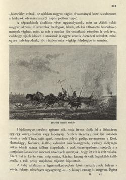 Image of the Page - 321 - in Az Osztrák-Magyar Monarchia írásban és képben - Magyarország II (2), Volume 9/2