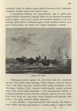 Bild der Seite - 321 - in Az Osztrák-Magyar Monarchia írásban és képben - Magyarország II (2), Band 9/2