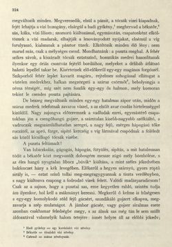 Bild der Seite - 324 - in Az Osztrák-Magyar Monarchia írásban és képben - Magyarország II (2), Band 9/2