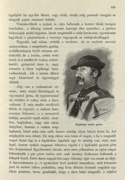 Bild der Seite - 325 - in Az Osztrák-Magyar Monarchia írásban és képben - Magyarország II (2), Band 9/2