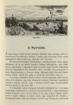 Image of the Page - 335 - in Az Osztrák-Magyar Monarchia írásban és képben - Magyarország II (2), Volume 9/2