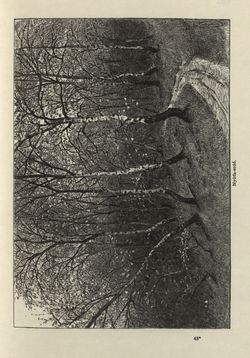 Image of the Page - 339 - in Az Osztrák-Magyar Monarchia írásban és képben - Magyarország II (2), Volume 9/2