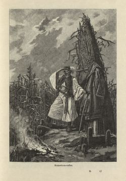 Image of the Page - 369 - in Az Osztrák-Magyar Monarchia írásban és képben - Magyarország II (2), Volume 9/2