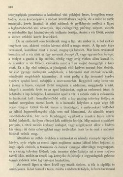 Image of the Page - 376 - in Az Osztrák-Magyar Monarchia írásban és képben - Magyarország II (2), Volume 9/2