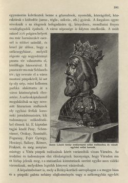 Bild der Seite - 391 - in Az Osztrák-Magyar Monarchia írásban és képben - Magyarország II (2), Band 9/2