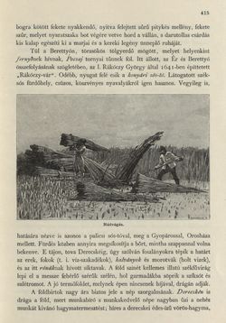 Image of the Page - 415 - in Az Osztrák-Magyar Monarchia írásban és képben - Magyarország II (2), Volume 9/2