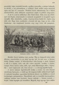 Bild der Seite - 419 - in Az Osztrák-Magyar Monarchia írásban és képben - Magyarország II (2), Band 9/2