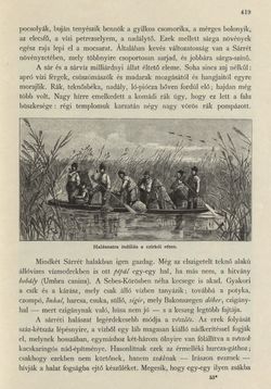 Image of the Page - 419 - in Az Osztrák-Magyar Monarchia írásban és képben - Magyarország II (2), Volume 9/2