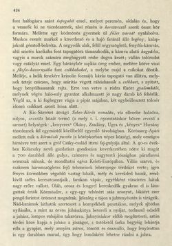 Bild der Seite - 424 - in Az Osztrák-Magyar Monarchia írásban és képben - Magyarország II (2), Band 9/2
