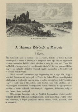 Bild der Seite - 429 - in Az Osztrák-Magyar Monarchia írásban és képben - Magyarország II (2), Band 9/2