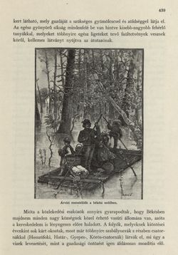 Image of the Page - 439 - in Az Osztrák-Magyar Monarchia írásban és képben - Magyarország II (2), Volume 9/2