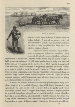 Image of the Page - 443 - in Az Osztrák-Magyar Monarchia írásban és képben - Magyarország II (2), Volume 9/2