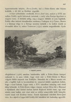 Image of the Page - 447 - in Az Osztrák-Magyar Monarchia írásban és képben - Magyarország II (2), Volume 9/2