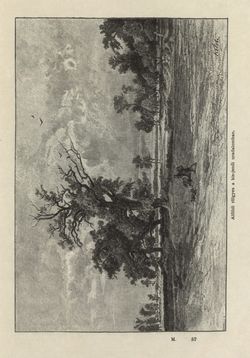 Image of the Page - 449 - in Az Osztrák-Magyar Monarchia írásban és képben - Magyarország II (2), Volume 9/2