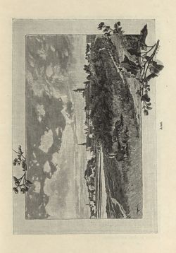 Bild der Seite - 455 - in Az Osztrák-Magyar Monarchia írásban és képben - Magyarország II (2), Band 9/2