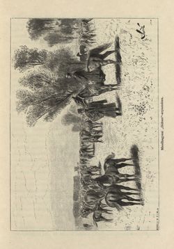 Bild der Seite - 477 - in Az Osztrák-Magyar Monarchia írásban és képben - Magyarország II (2), Band 9/2