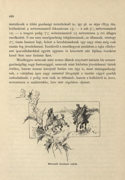 Bild der Seite - 480 - in Az Osztrák-Magyar Monarchia írásban és képben - Magyarország II (2), Band 9/2
