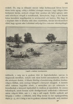 Image of the Page - 539 - in Az Osztrák-Magyar Monarchia írásban és képben - Magyarország II (2), Volume 9/2