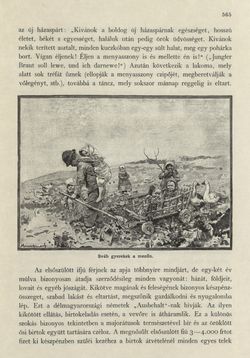 Bild der Seite - 565 - in Az Osztrák-Magyar Monarchia írásban és képben - Magyarország II (2), Band 9/2