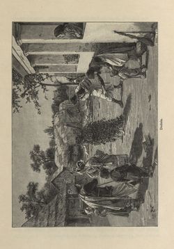 Bild der Seite - 645 - in Az Osztrák-Magyar Monarchia írásban és képben - Magyarország II (2), Band 9/2