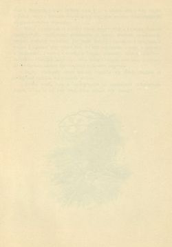 Bild der Seite - (00000382) - in Az Osztrák-Magyar Monarchia írásban és képben - Magyarország II (2), Band 9/2