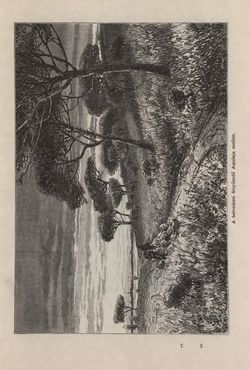 Image of the Page - 17 - in Az Osztrák-Magyar Monarchia írásban és képben - Az Osztrák Tengermellék és Dalmáczia (Tengermellék), Volume 10