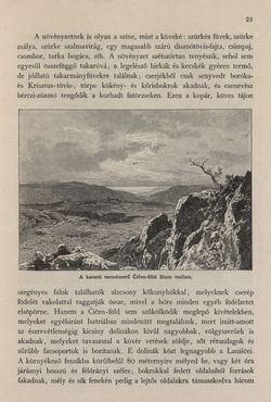 Image of the Page - 23 - in Az Osztrák-Magyar Monarchia írásban és képben - Az Osztrák Tengermellék és Dalmáczia (Tengermellék), Volume 10