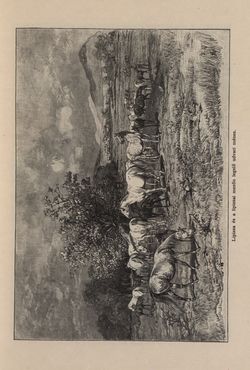 Image of the Page - 93 - in Az Osztrák-Magyar Monarchia írásban és képben - Az Osztrák Tengermellék és Dalmáczia (Tengermellék), Volume 10