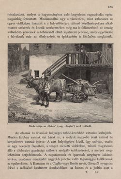 Image of the Page - 185 - in Az Osztrák-Magyar Monarchia írásban és képben - Az Osztrák Tengermellék és Dalmáczia (Tengermellék), Volume 10