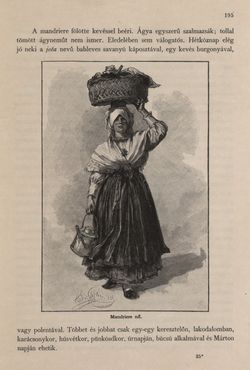 Image of the Page - 195 - in Az Osztrák-Magyar Monarchia írásban és képben - Az Osztrák Tengermellék és Dalmáczia (Tengermellék), Volume 10