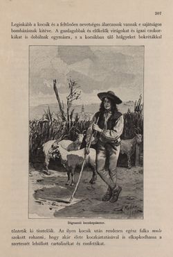 Image of the Page - 207 - in Az Osztrák-Magyar Monarchia írásban és képben - Az Osztrák Tengermellék és Dalmáczia (Tengermellék), Volume 10